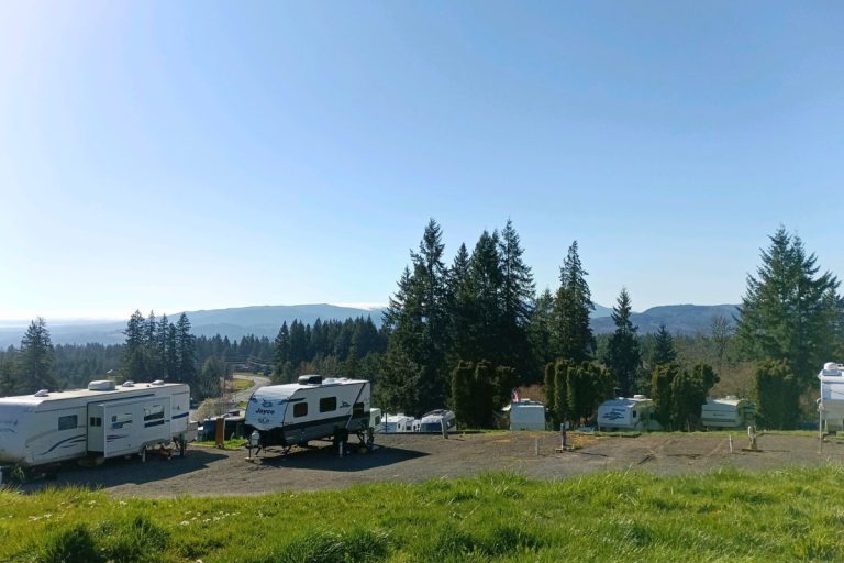 Mt. St. Helens RV Park View